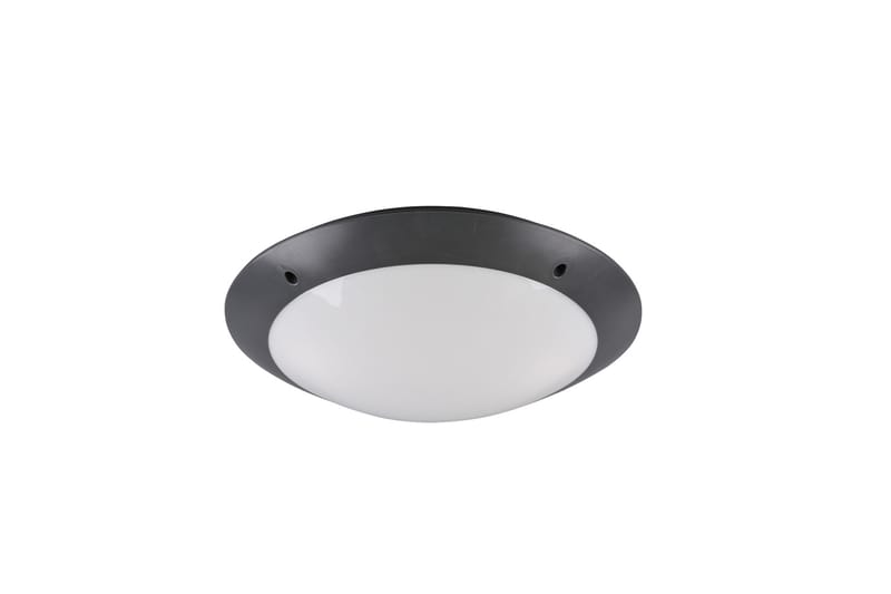 Trio Lighting Camaro plafond 33cm 2L E27 antracit - Taklampa kök - Fönsterlampa hängande - Fönsterlampa - Pendellampor & hänglampor - Sovrumslampa - Vardagsrumslampa