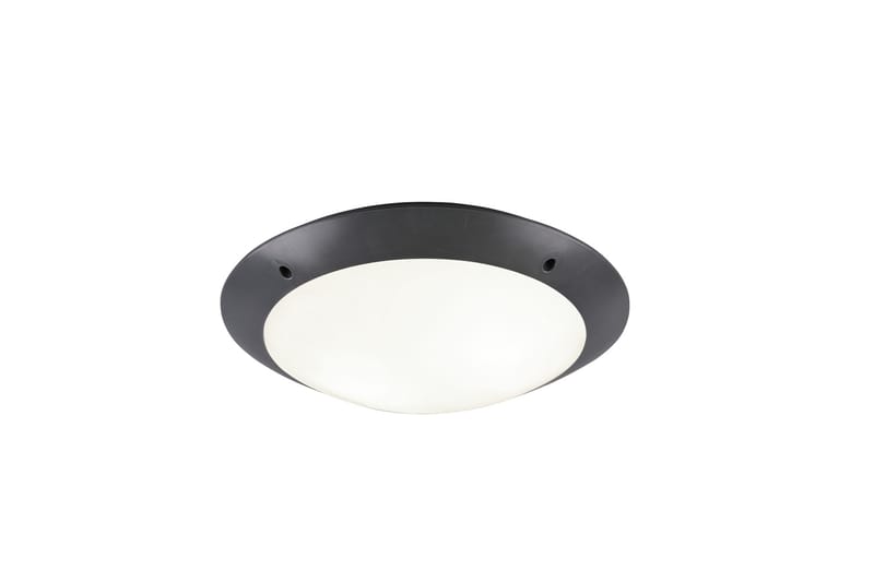 Trio Lighting Camaro plafond 33cm 2L E27 antracit - Taklampa kök - Fönsterlampa hängande - Fönsterlampa - Pendellampor & hänglampor - Sovrumslampa - Vardagsrumslampa