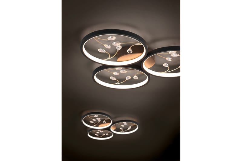 Trio Lighting Groovy LED plafond 3L mattsvart/ guld - Taklampa kök - Fönsterlampa hängande - Fönsterlampa - Pendellampor & hänglampor - Sovrumslampa - Vardagsrumslampa