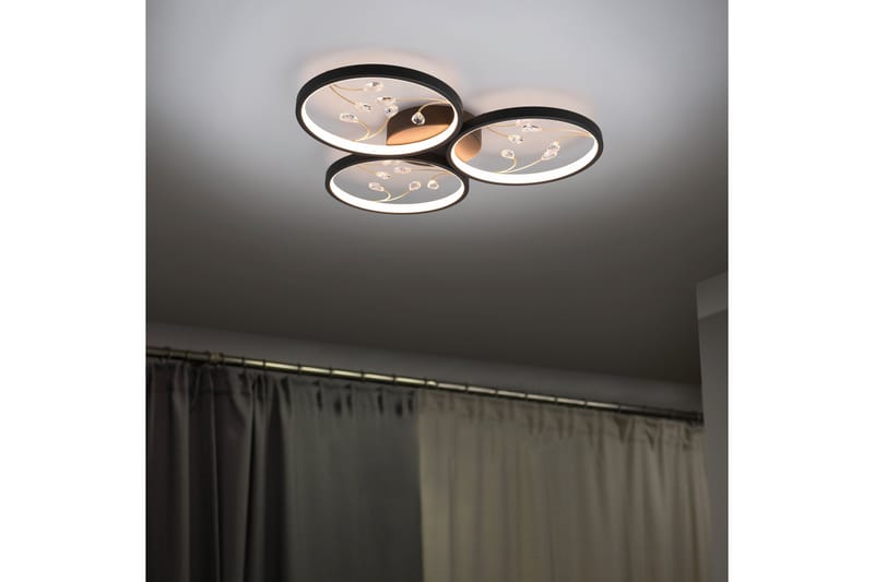 Trio Lighting Groovy LED plafond 3L mattsvart/ guld - Taklampa kök - Fönsterlampa hängande - Fönsterlampa - Pendellampor & hänglampor - Sovrumslampa - Vardagsrumslampa