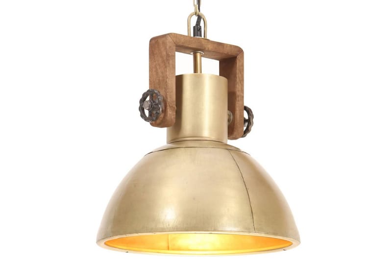 Hänglampa industriell 25 W mässing rund 30 cm E27 - Flerfärgad - Taklampa kök - Fönsterlampa hängande - Fönsterlampa - Pendellampor & hänglampor - Sovrumslampa - Vardagsrumslampa