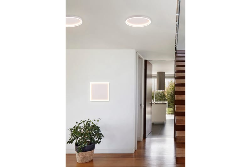 Trio Lighting Rotonda LED plafond rund mattvit - Belysning & el - Inomhusbelysning & lampor - Taklampa & takbelysning - Plafond