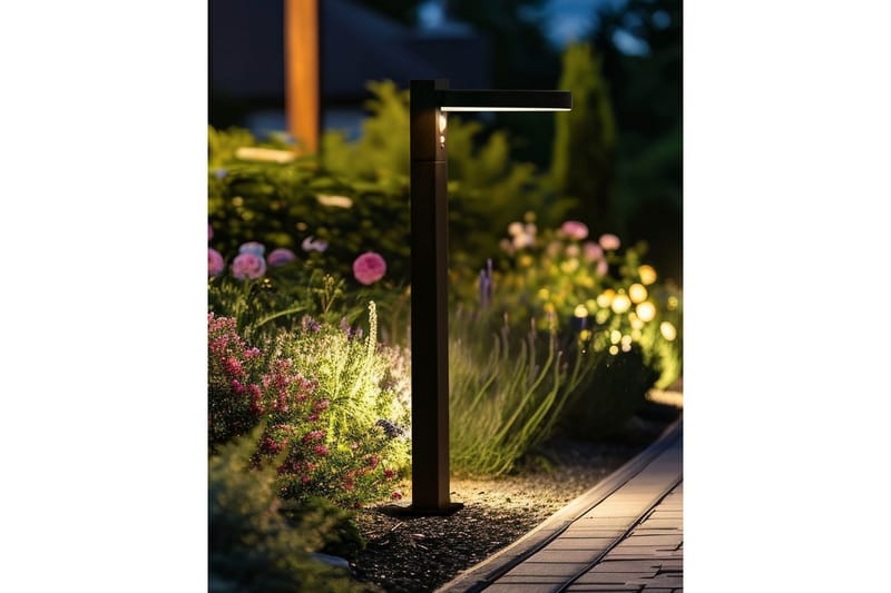 Hydra LED Solcellsbelysning 50 cm - Svart - Belysning & el - Utomhusbelysning - Solcellslampa & solcellsbelysning