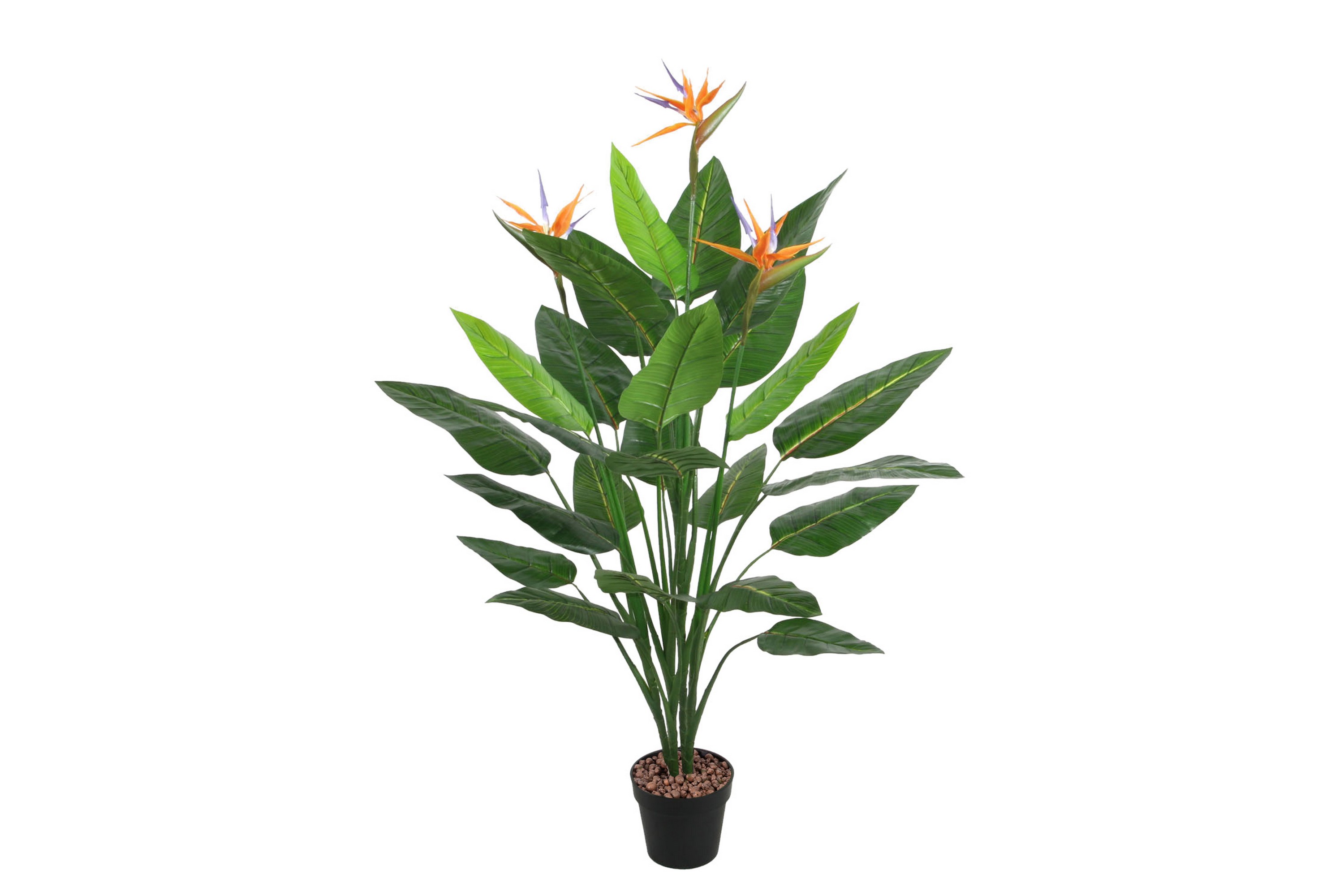 Grön växt BIRD OF PARADISE H150cm svart kruka - Konstgjorda växter & plastväxter