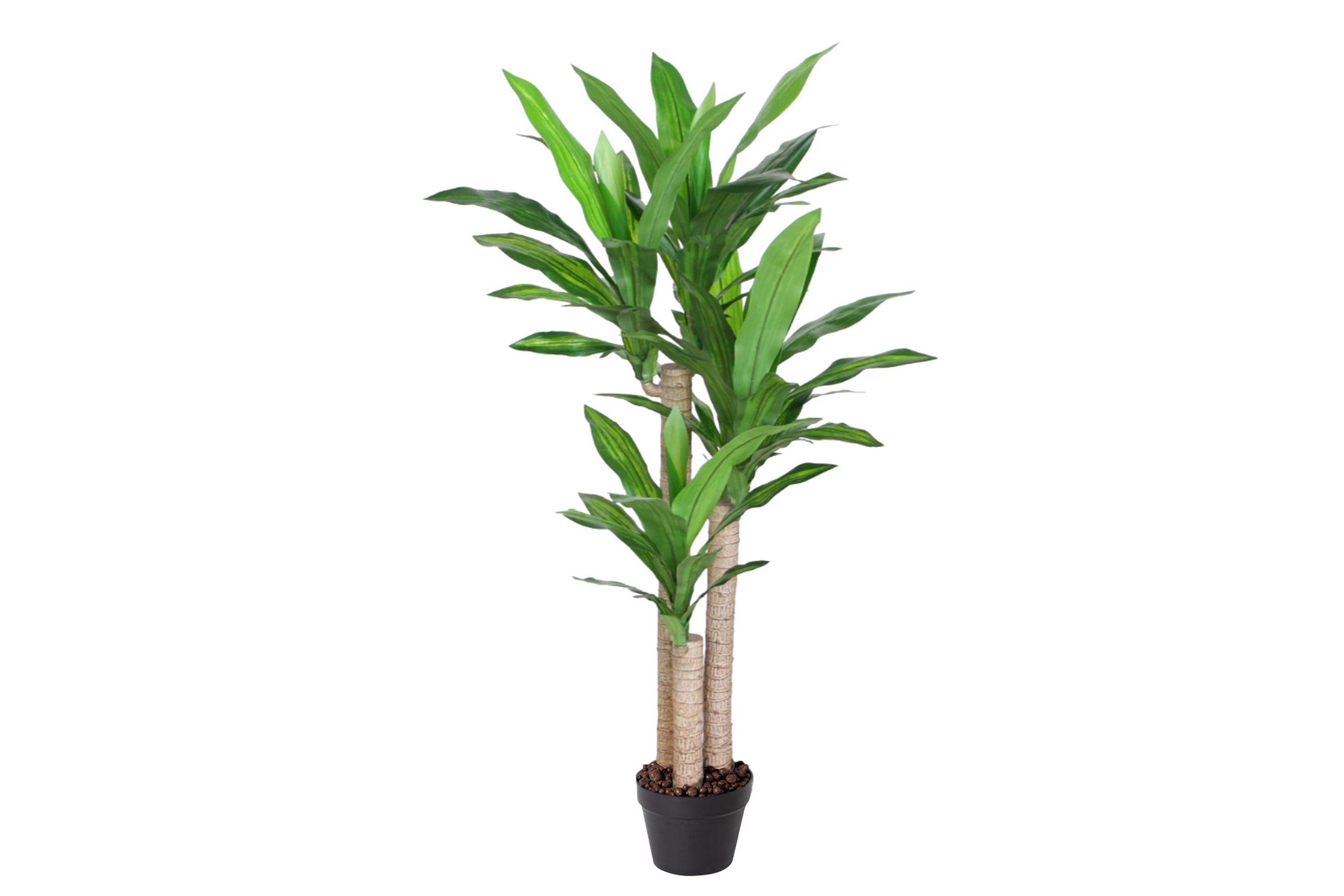 Grön växt DRACAENA H125cm 3 grenar svart kruka - Konstgjorda växter & plastväxter