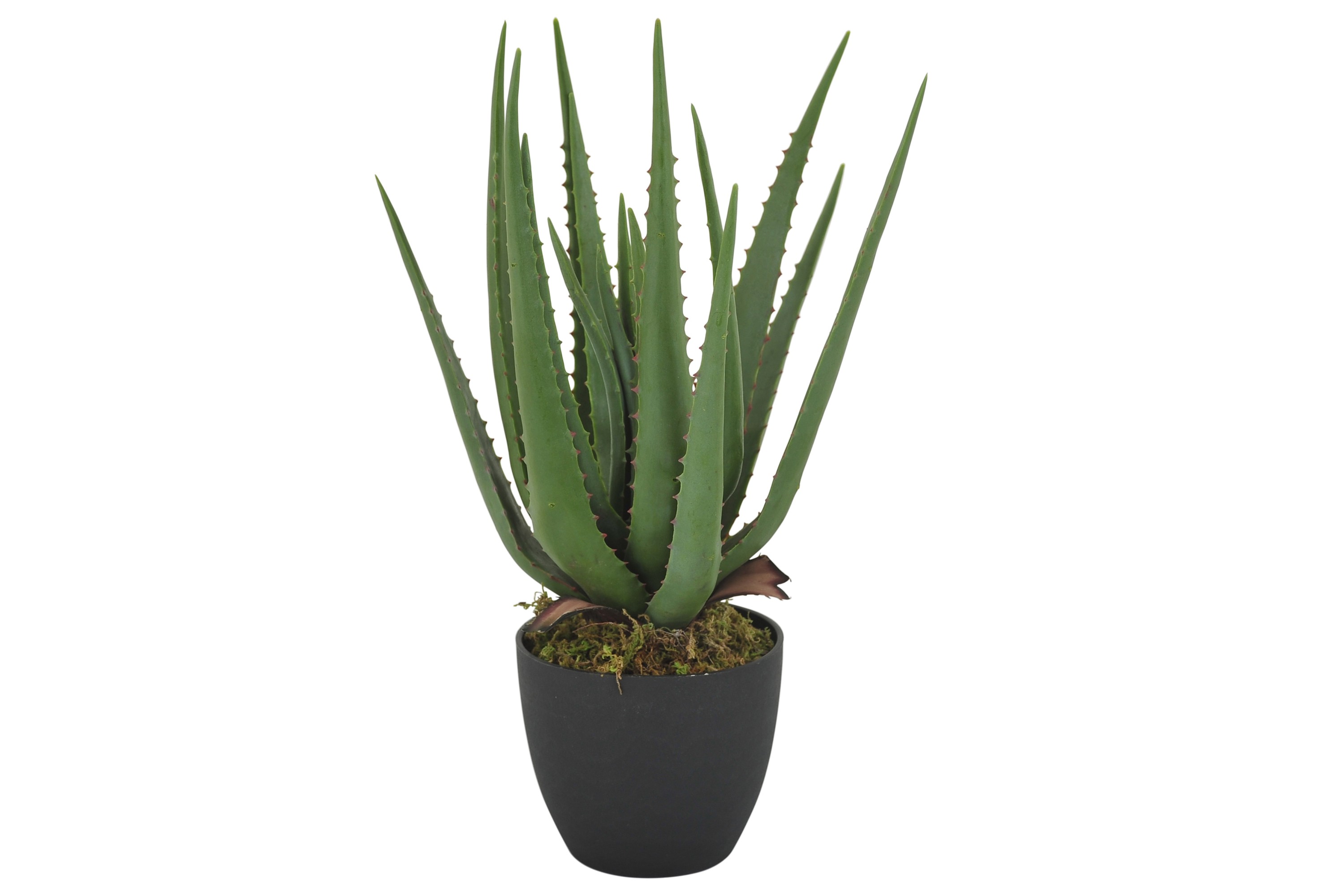 Piscode Konstgjord Växt Aloevera 47 cm - Grön 11040021