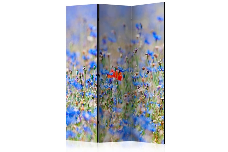 Rumsavdelare A Sky-Colored Meadow - Cornflowers 135x172 cm - Artgeist sp. z o. o. - Vikskärm - Rumsavdelare