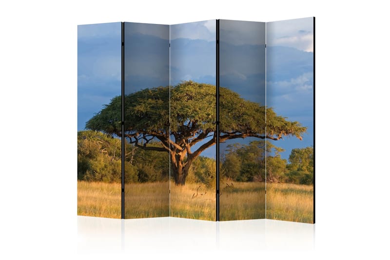 Rumsavdelare - African acacia tree, Hwange 225x172 - Artgeist sp. z o. o. - Vikskärm - Rumsavdelare