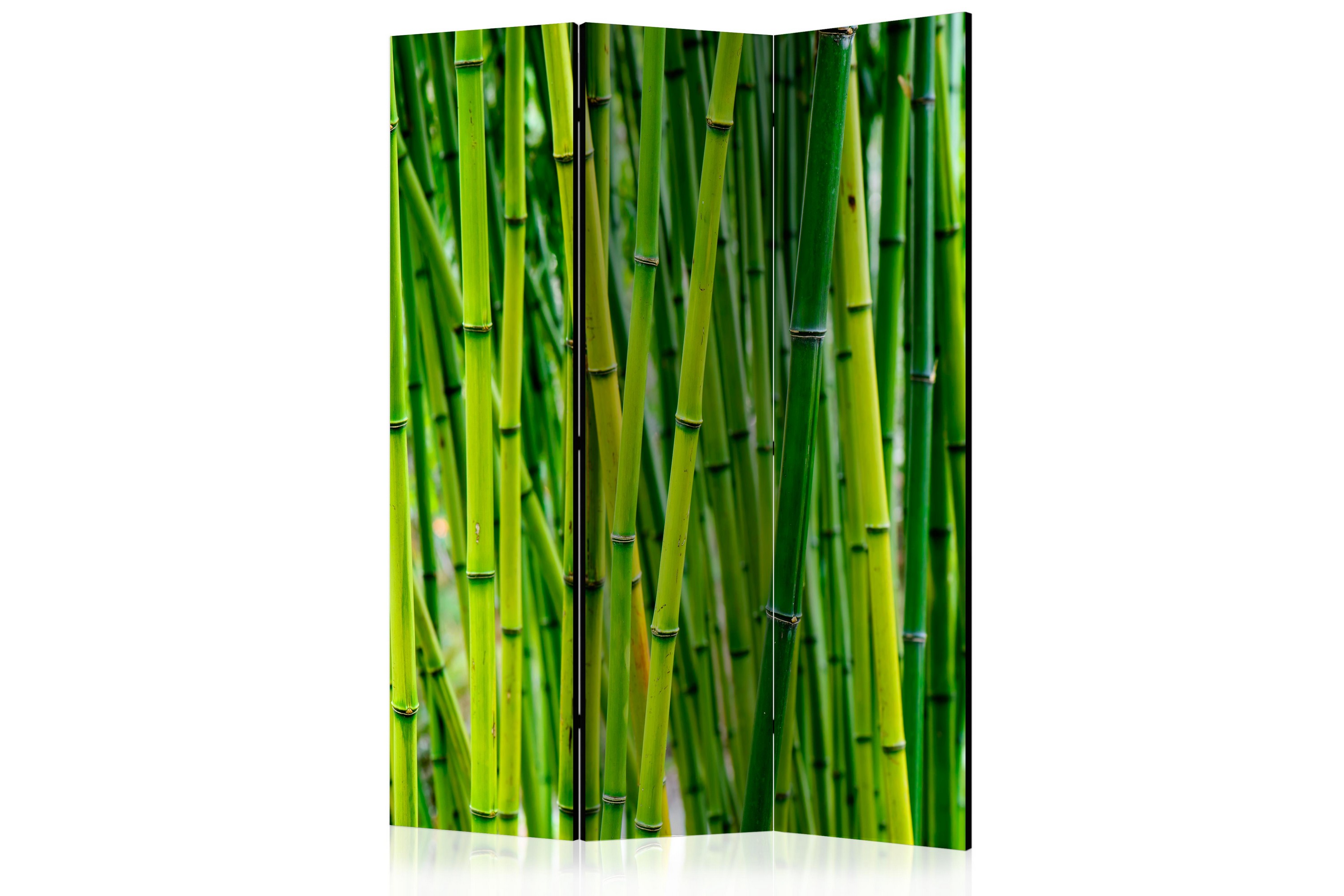 REA/Black Friday Rumsavdelare Bamboo Forest 135x172 - Artgeist sp. z o. Grön Tyg