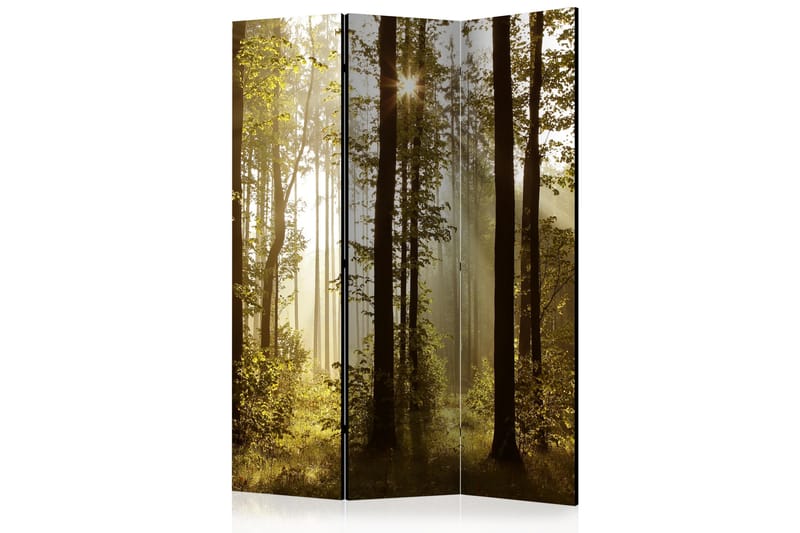 Rumsavdelare - Forest: Morning Sunlight  135x172 - Artgeist sp. z o. o. - Vikskärm - Rumsavdelare