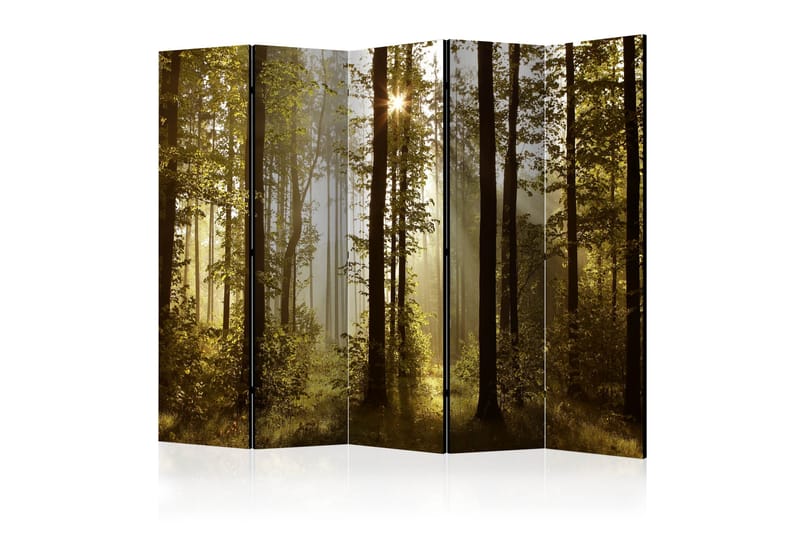 Rumsavdelare - Forest: Morning Sunlight  II 225x172 - Artgeist sp. z o. o. - Vikskärm - Rumsavdelare