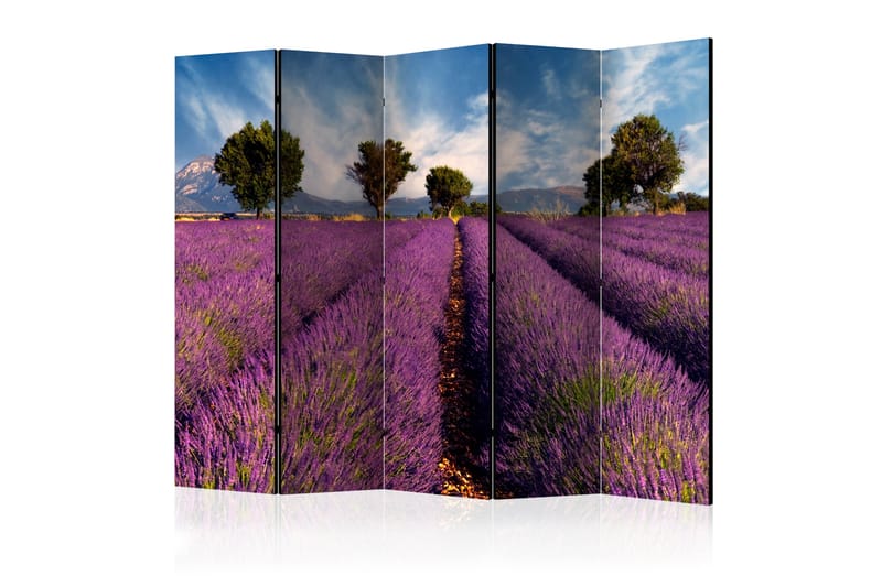 Rumsavdelare Lavender Field in Provence 225x172 cm - Artgeist sp. z o. o. - Vikskärm - Rumsavdelare