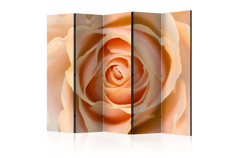 Rumsavdelare - Peach-colored rose II 225x172 - Artgeist sp. z o. o. - Vikskärm - Rumsavdelare