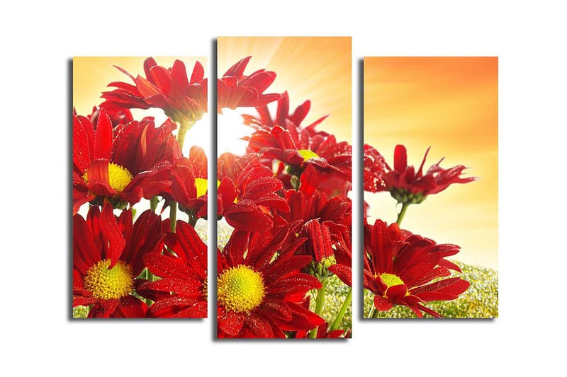 Canvastavla 3-pack Flerfärgad - 20x39 cm - Canvastavlor