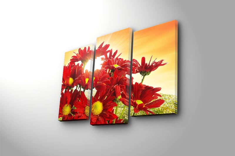 Canvastavla 3-pack Flerfärgad - 20x39 cm - Canvastavlor