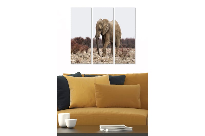 Canvastavla Animal 3-pack Flerfärgad - 20x50 cm - Inredning - Tavlor & konst - Canvastavlor