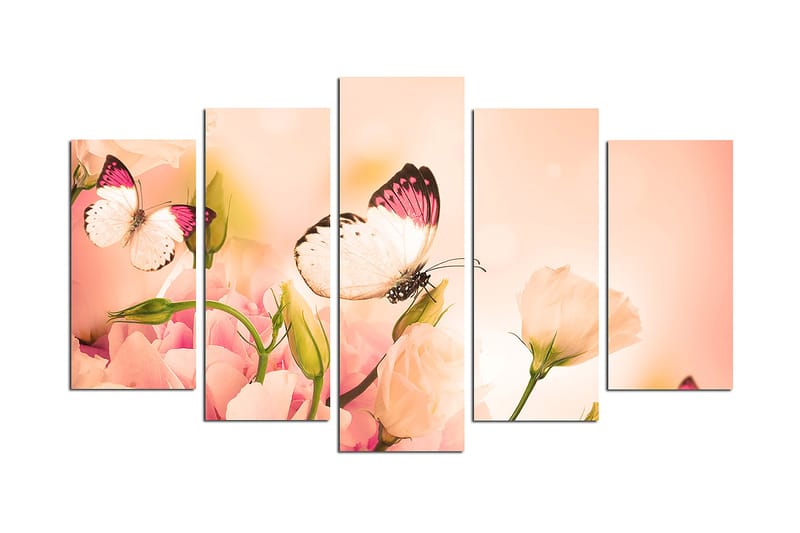 Canvastavla Animals Butterfly 5-pack Flerfärgad - 20x60 cm - Inredning - Tavlor & konst - Canvastavlor