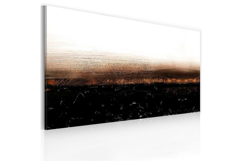Canvastavla Black soil 120x60 cm - Artgeist sp. z o. o. - Canvastavlor