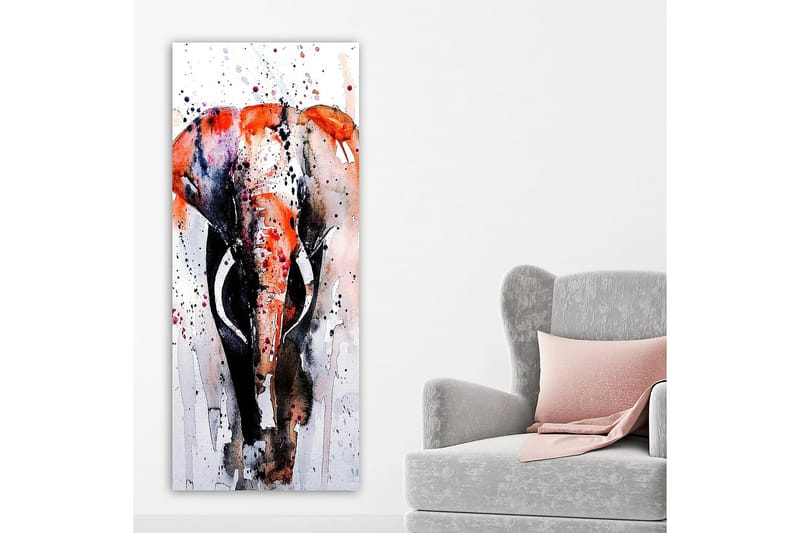 Canvastavla DKY Animals Flerfärgad - 50x120 cm - Canvastavlor
