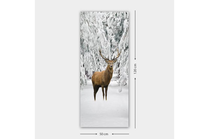Canvastavla DKY Animals Flerfärgad - 50x120 cm - Canvastavlor
