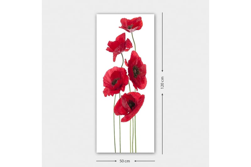 Canvastavla DKY Floral & Botanical Flerfärgad - 50x120 cm - Canvastavlor