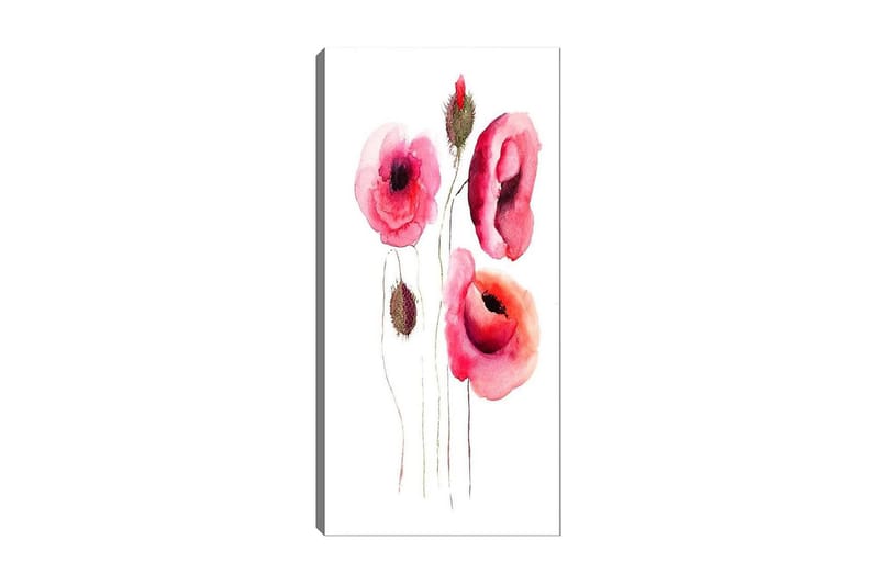 Canvastavla DKY Floral & Botanical Flerfärgad - 50x120 cm - Canvastavlor