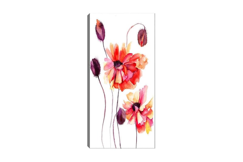 Canvastavla DKY Floral & Botanical Flerfärgad - 50x120 cm - Canvastavlor