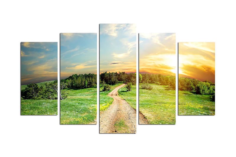 Canvastavla Nature 5-pack Flerfärgad - 20x60 cm - Inredning - Tavlor & konst - Canvastavlor