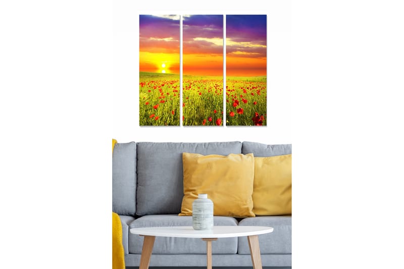 Canvastavla Scenic 3-pack Flerfärgad - 20x50 cm - Canvastavlor