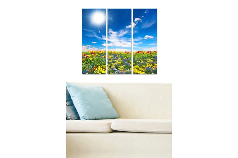 Canvastavla Scenic 3-pack Flerfärgad - 20x50 cm - Canvastavlor