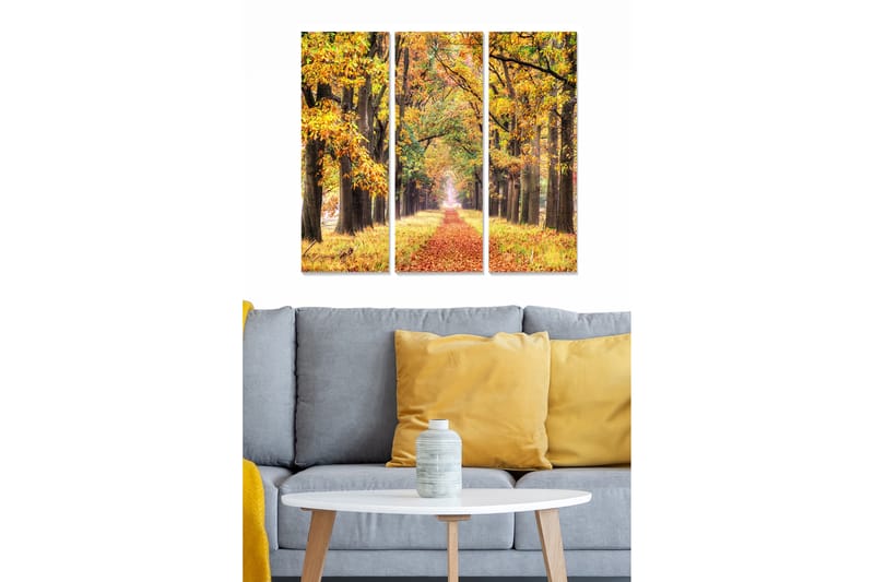 Canvastavla Scenic 3-pack Flerfärgad - 20x50 cm - Canvastavlor