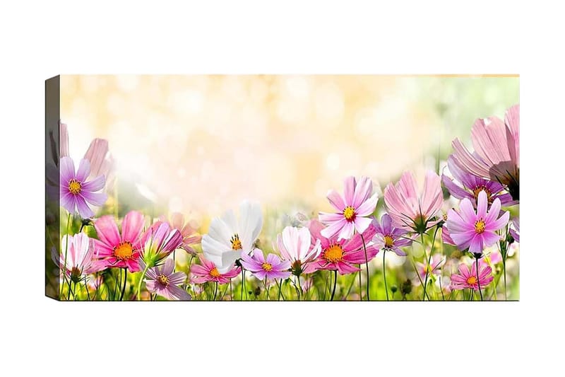 Canvastavla YTY Floral & Botanical Flerfärgad - 120x50 cm - Canvastavlor