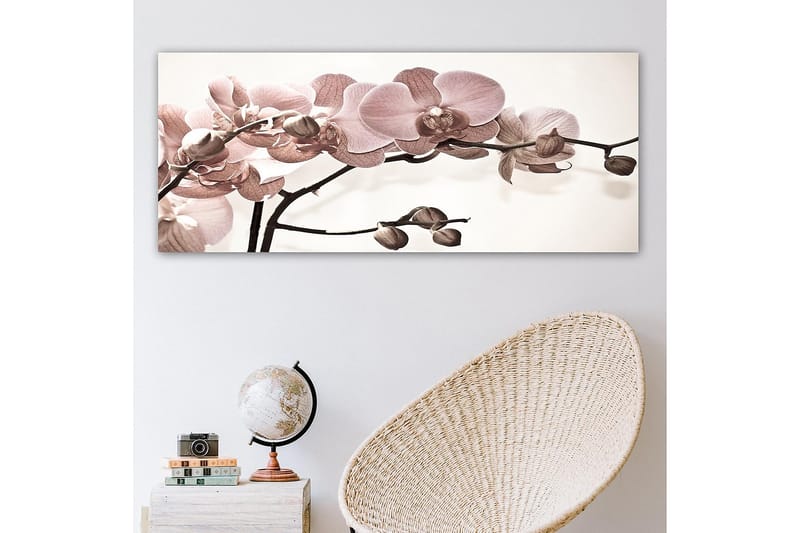 Canvastavla YTY Floral & Botanical Flerfärgad - 120x50 cm - Canvastavlor - Tavla kök - Barntavla