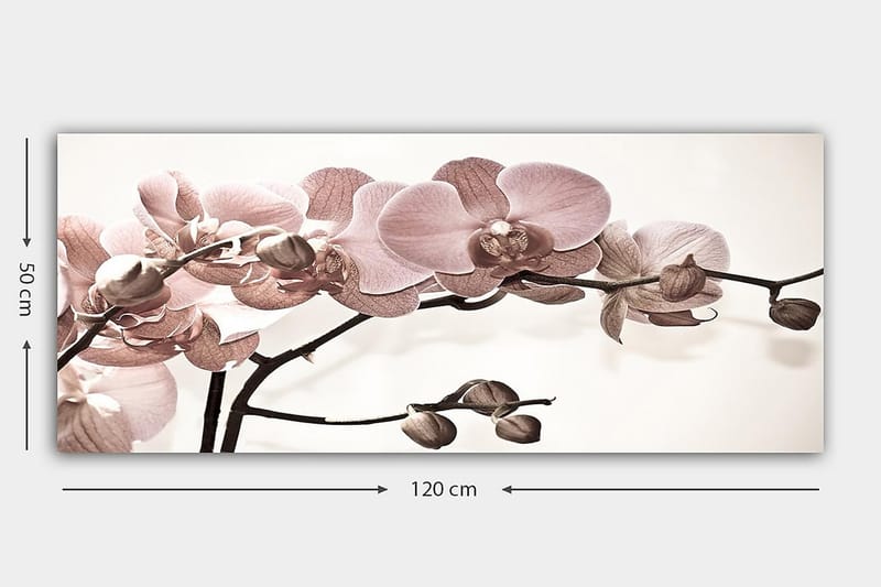 Canvastavla YTY Floral & Botanical Flerfärgad - 120x50 cm - Canvastavlor - Tavla kök - Barntavla