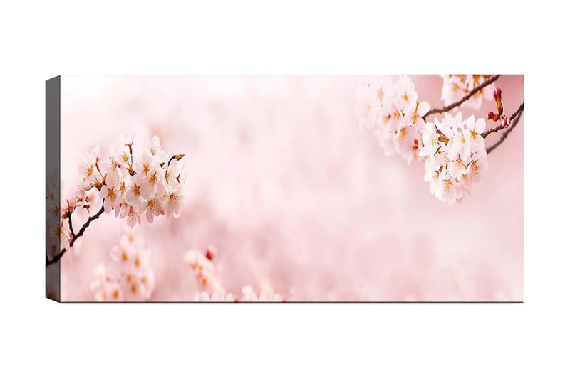 Canvastavla YTY Floral & Botanical Flerfärgad - 120x50 cm - Canvastavlor