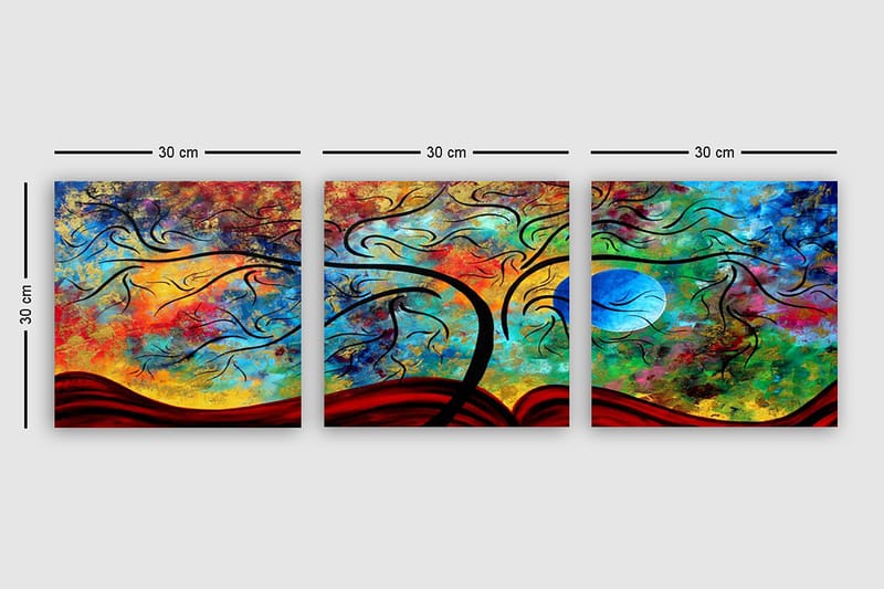 Decorative Canvas Painting (3 Pieces) 30x30 - Canvastavlor