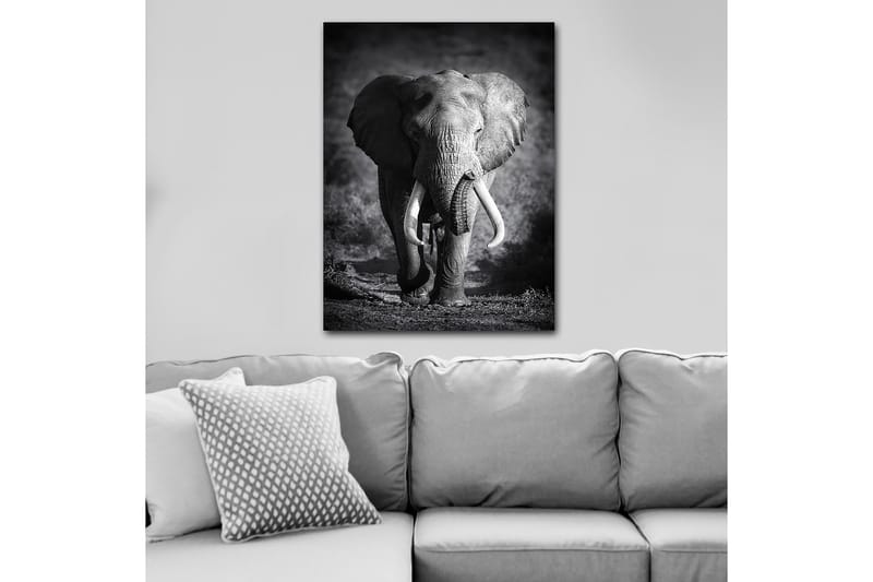 Decorative Canvas Painting 70x100 - Canvastavlor