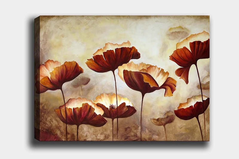 Decorative Canvas Painting 70x100 - Canvastavlor