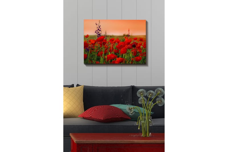 Decorative Canvas Painting 50x70 - Canvastavlor