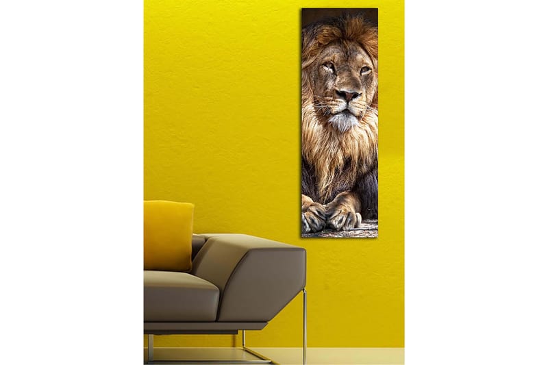 Decorative Canvas Painting 30x90 - Canvastavlor