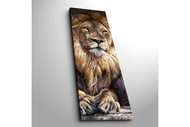 Decorative Canvas Painting 30x90 - Canvastavlor