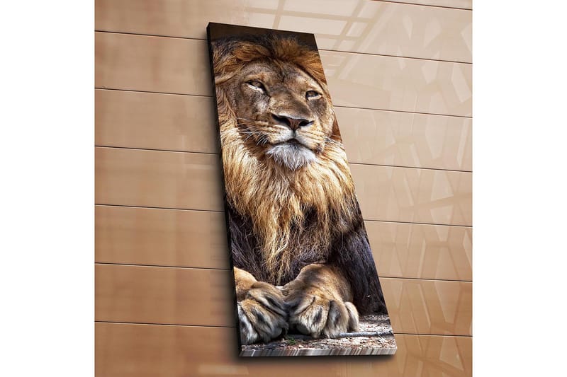 Decorative Canvas Painting 30x90 - Canvastavlor