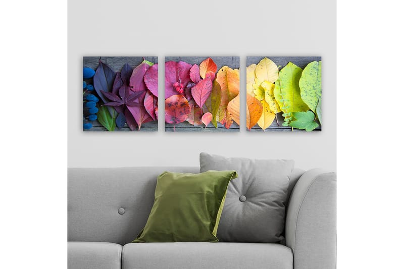 Decorative Canvas Painting (3 Pieces) 30x30 - Inredning - Tavlor & konst - Canvastavlor