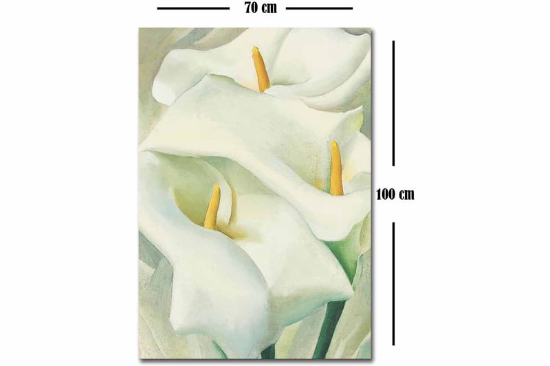 Decorative Canvas Painting 70x100 - Canvastavlor