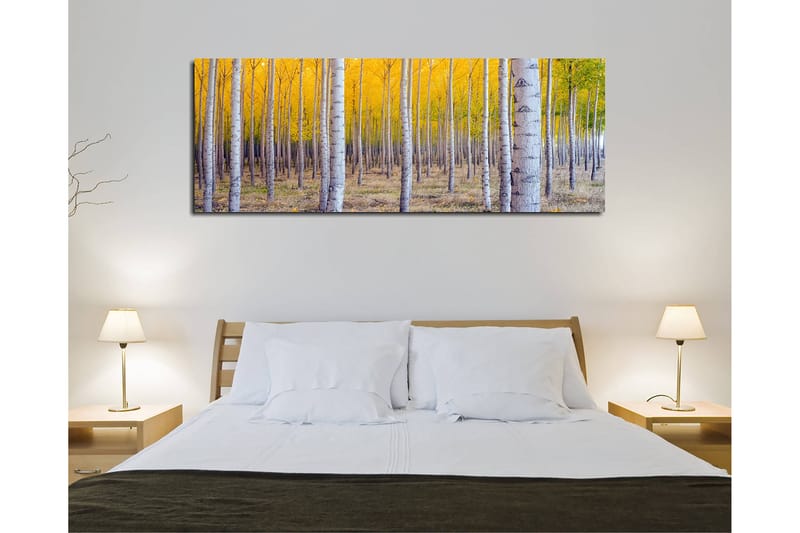 Decorative Canvas Painting 30x80 - Canvastavlor