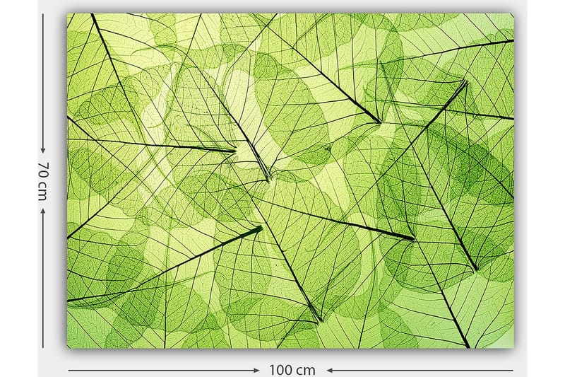 Dekorativ Canvastavla 70x100 cm - Flerfärgad - Canvastavlor