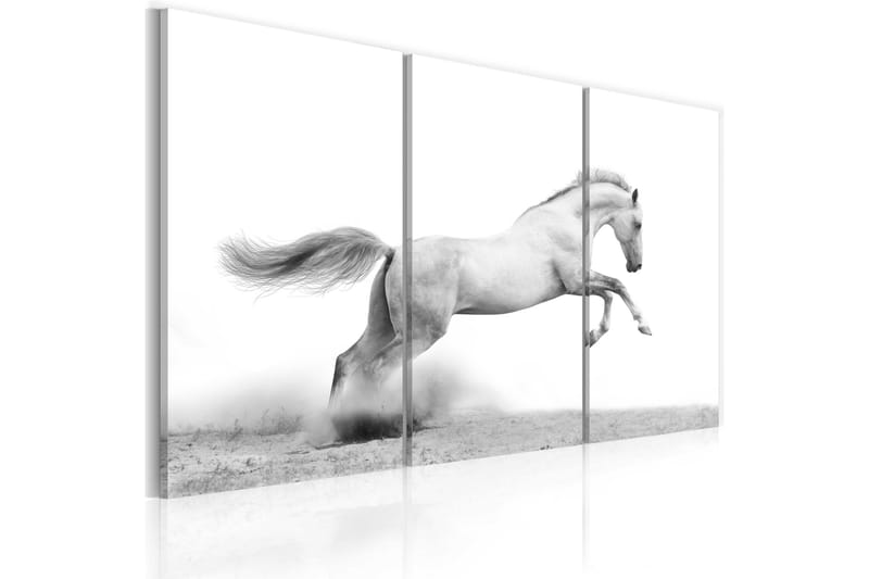 Tavla A galloping horse 90x60 - Artgeist sp. z o. o. - Canvastavlor