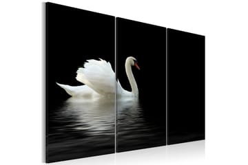 Tavla A lonely white swan 90x60