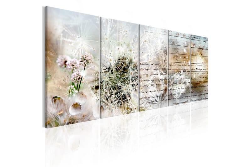 Tavla Abstract Dandelions 200x80 - Artgeist sp. z o. o. - Inredning - Tavlor & konst - Canvastavlor