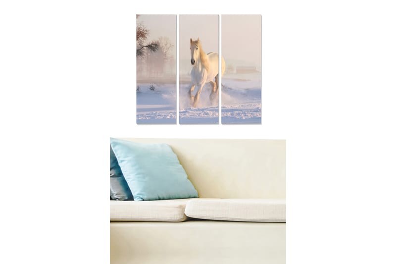 Tavla Animal 3-pack Flerfärgad - 20x50 cm - Inredning - Tavlor & konst - Canvastavlor